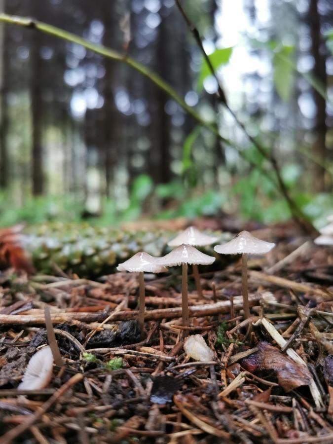 Apartmán Karancsvoelgyi Pihenohaz Karancsbereny Exteriér fotografie