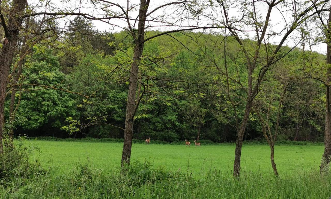 Apartmán Karancsvoelgyi Pihenohaz Karancsbereny Exteriér fotografie